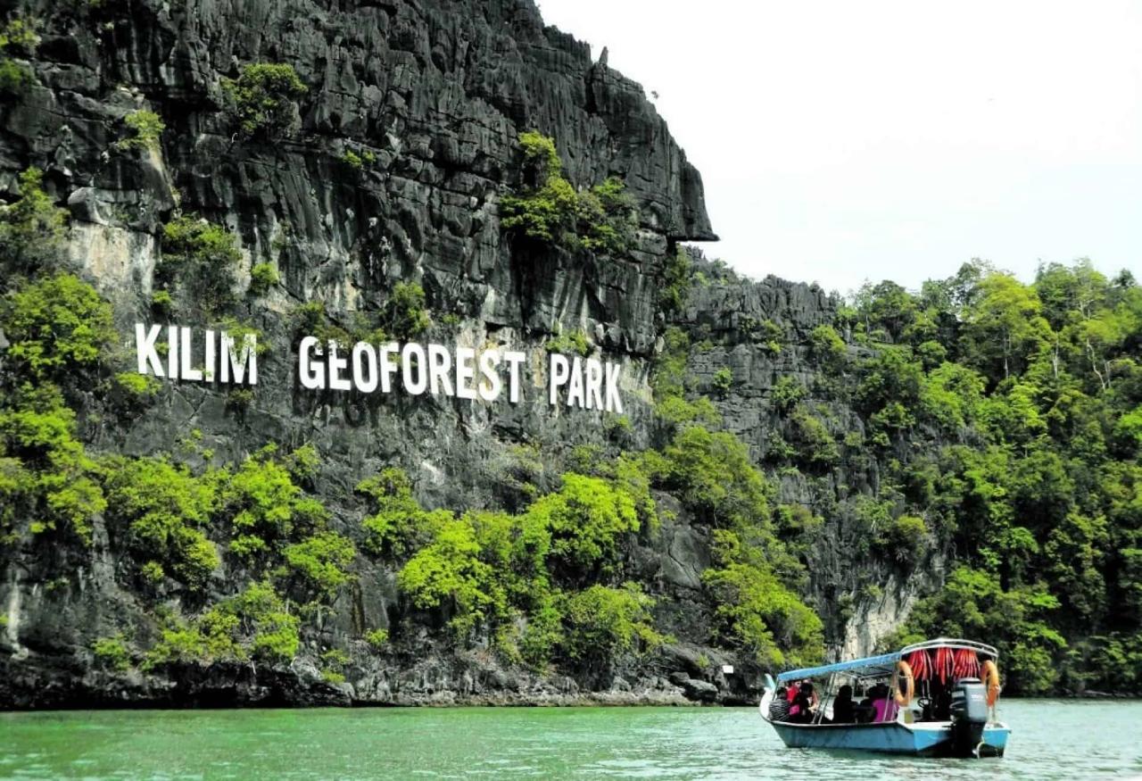 Jelajahi Hutan Bakau Langkawi: Petualangan Alam yang Menakjubkan