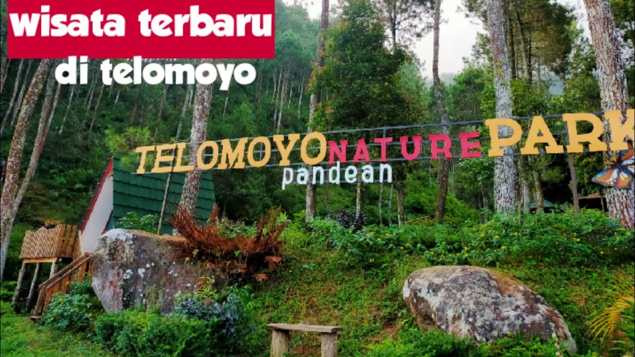 Telomoyo Nature Park: Destinasi Alam Menakjubkan di Jawa Tengah